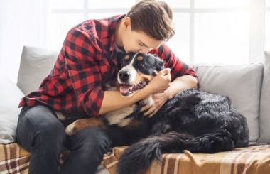 Pais ou mães de pets ganham destaque no país