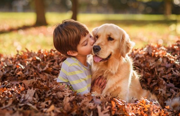 Como promover uma convivência segura entre cães e crianças?