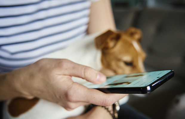 5 motivos para comprar produtos pet em apps como a appegada: praticidade, economia e cuidado na palma da mão