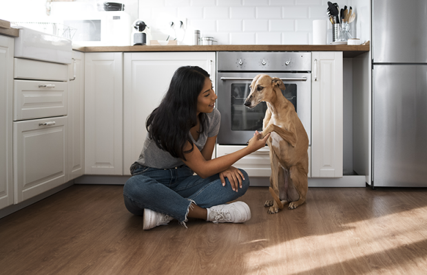 Como preparar sua casa para um novo pet