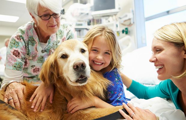 Pets em hospitais é uma forma de terapia