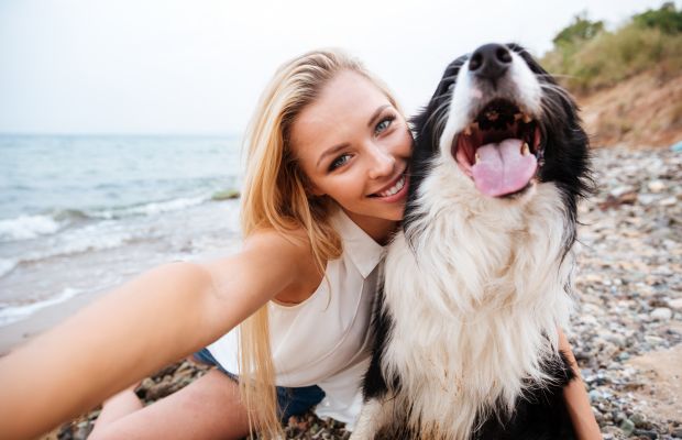 Acessório de selfie para cachorro promete a foto perfeita