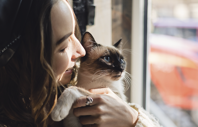 Como proteger seu pet durante o inverno: dicas práticas