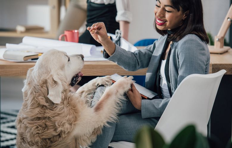 Pet day no trabalho: confira o que você deve levar