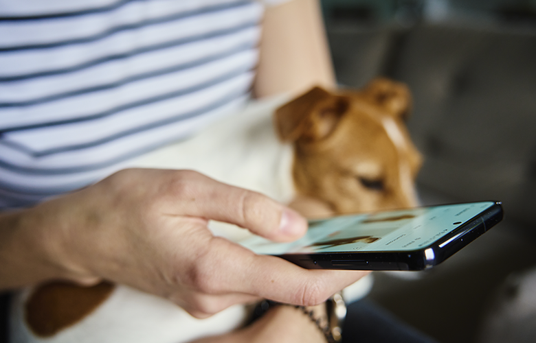 5 motivos para comprar produtos pet em apps como a appegada: praticidade, economia e cuidado na palma da mão