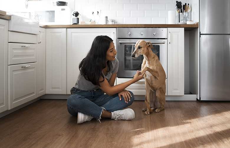 Como preparar sua casa para um novo pet
