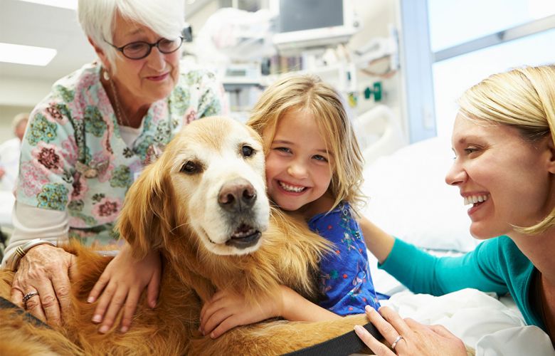 Pets em hospitais é uma forma de terapia