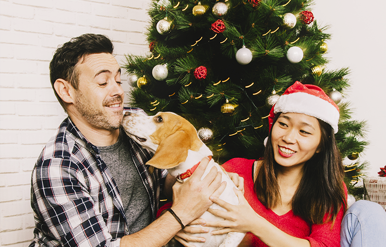 Festas de final de ano: como cuidar do seu pet durante as comemorações